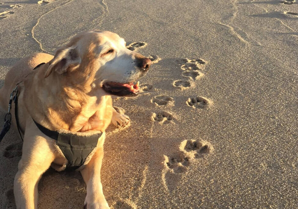 Sarah at Nauset Beach